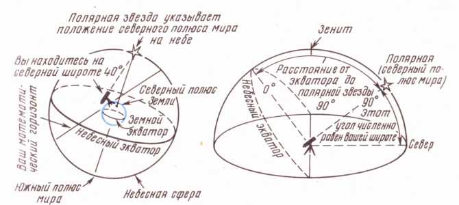 Ориентация небесной сферы в зависимости от места наблюдения