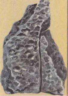 Железный метеорит Богуславка