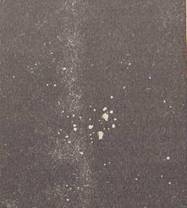 рассеянное звездное скопление Плеяды